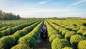 Begin your visa-prepared day with Vietnam’s tranquil ambiance